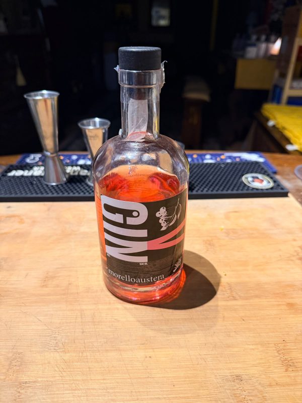 V Gin (Gin di Visciole)